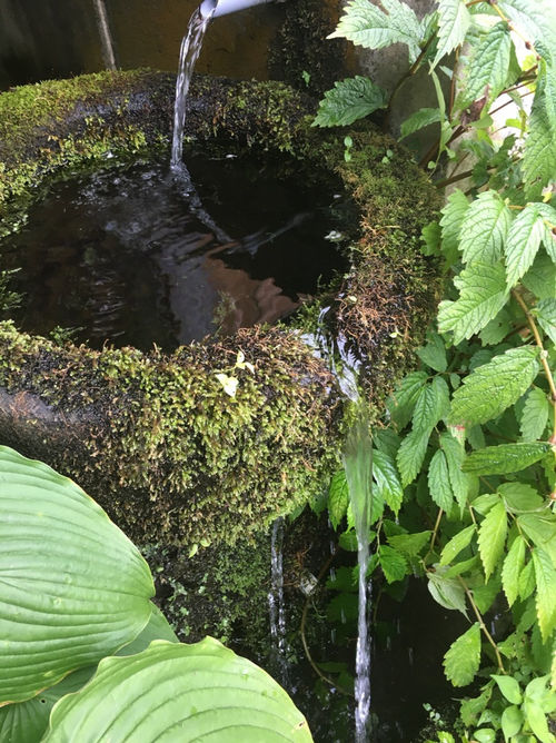 井戸水の画像