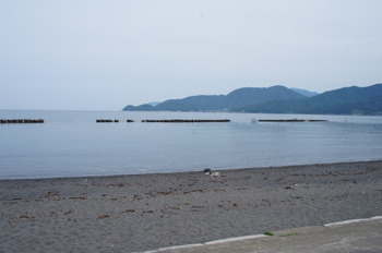 「若狭海遊バザール 千鳥苑」周辺の風景画像