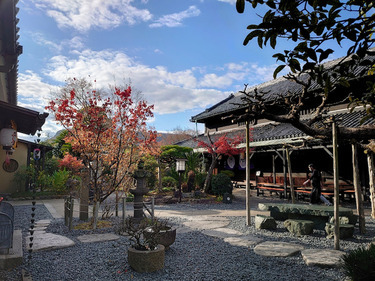 うどん本陣山田家本店の風景