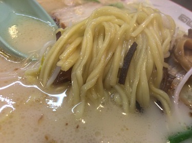 「ざぼんラーメン 与次郎店」ラーメンの麺