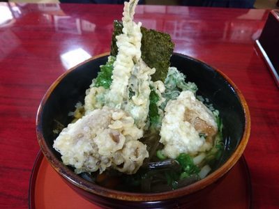 山菜うどん