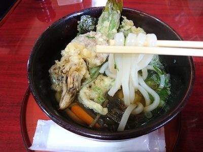 山菜うどん２枚目