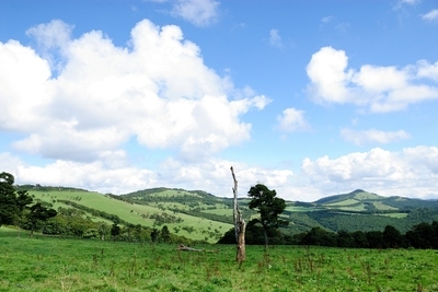 岩手県葛巻町の画像２