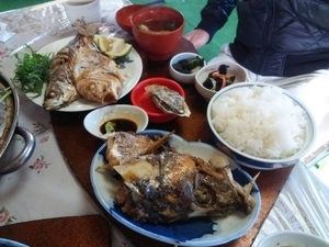 「海鮮定食各種」の画像